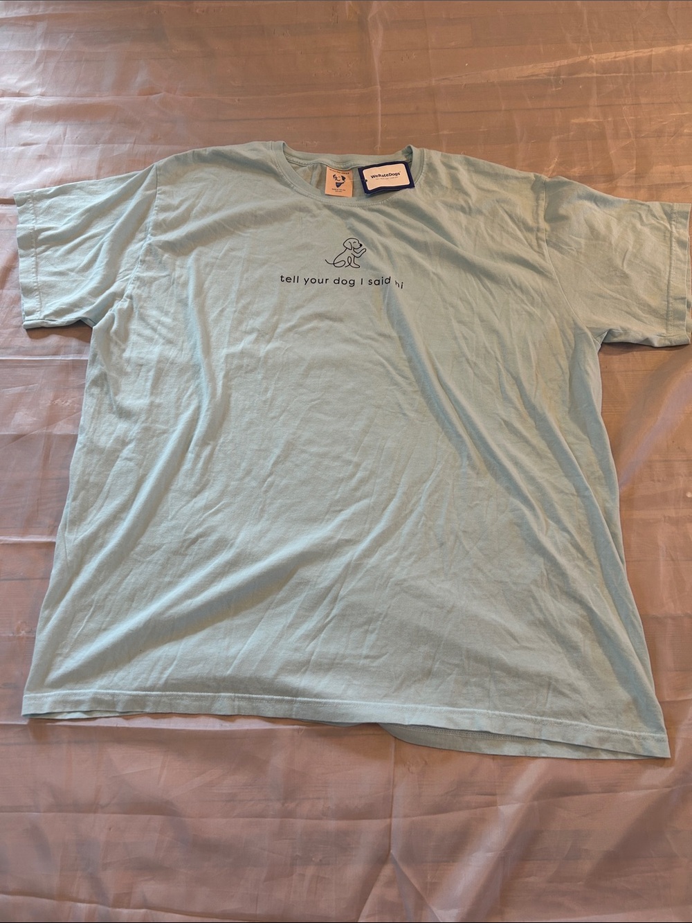 Tell Your Dog I Said Hi Light Blue Graphic Tee